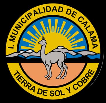 Logo de Municipalidad de Calama